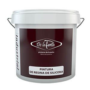 PINTURA RESINA SILICONA 300 (1)