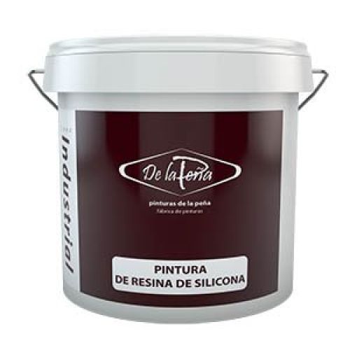 PINTURA RESINA SILICONA 300 (1)
